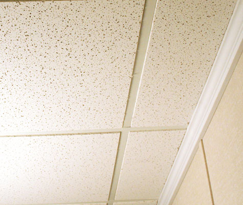 Basement Ceiling In Colorado No Sag Dropped Ceilings