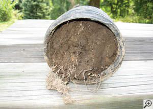 clogged french drain found in Hotchkiss, Colorado & New Mexico
